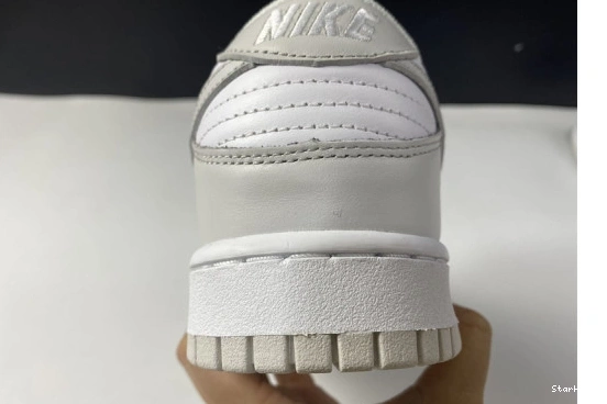DD1503-103 Dust" Dunk Nike Low "Photon 0113